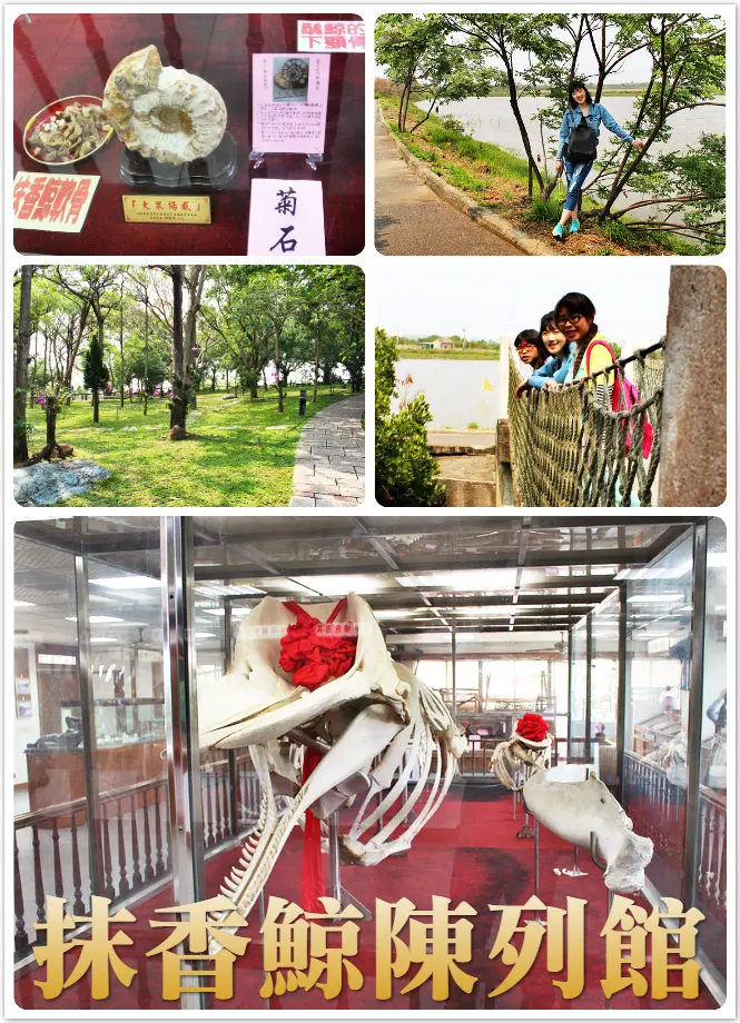 //台南景點//抹香鯨陳列館。四草大眾廟。漫步在悠閒的小路享受不一樣的府城，欣賞抹香鯨母子標本，為它們致上最大的感動