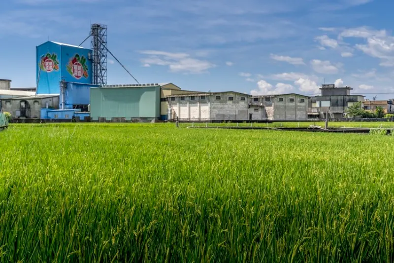 宜蘭礁溪甜點 樹里私廚甜點｜礁溪私廚甜點，原生食材與初心的完美詮釋，森林系甜點的著迷滋味 · 算命的說我很愛吃