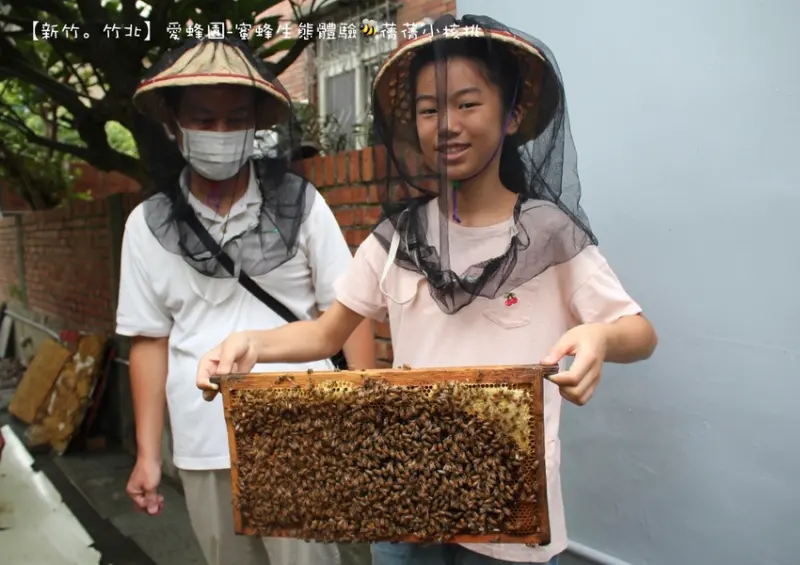 【新竹親子旅遊/健康伴手禮推薦】愛蜂園-蜜蜂生態體驗。只要⟪150元⟫就可以來一趟好吃又好玩的蜜蜂生態之旅，輕鬆化身為小小蜂農，採收屬於自己的天然蜂蜜！