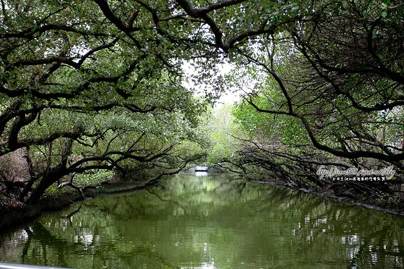 【台南】台版的亞馬遜河.台江國家公園(台江生態文化園區)
