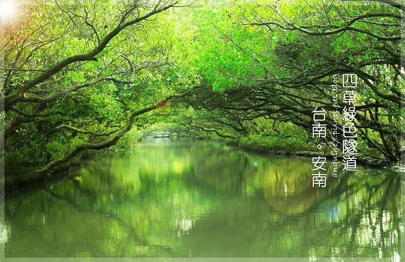 [台南。安南] 親愛的亞馬遜河怎麼變迷你了?!魔幻綠境四草紅樹林綠色隧道