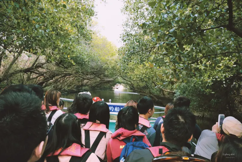 府城美食兩日小旅行∕05 # 四草綠色隧道