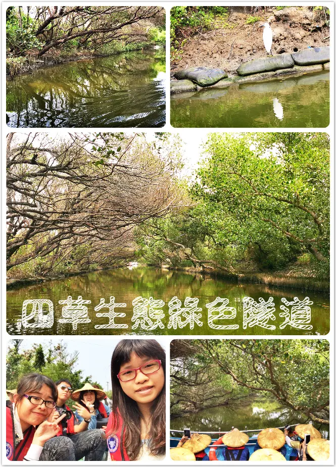 //台南景點//四草生態綠色隧道。天使之吻。四草大眾廟。台灣迷你型的亞馬遜河。用不一樣的角度看台灣生態,用心感受大自然的溫度
