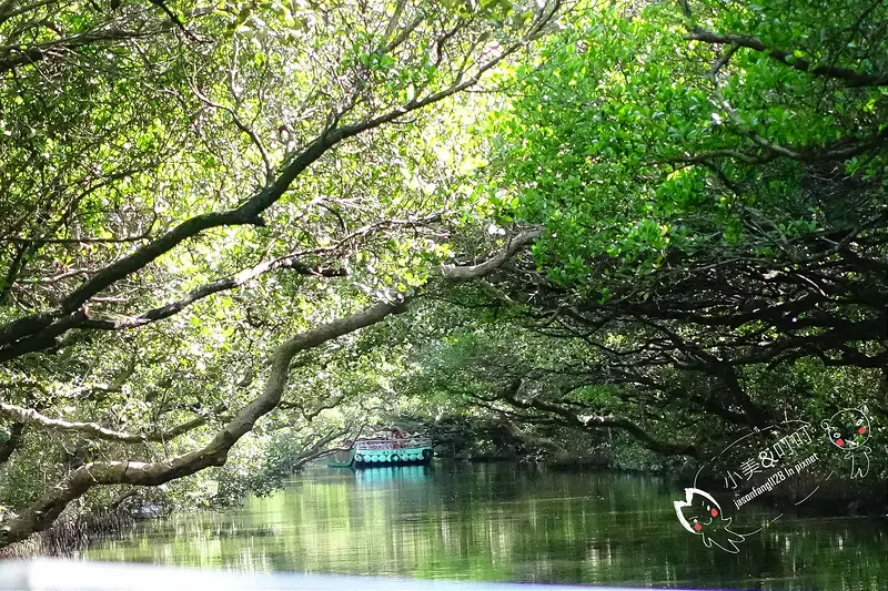 【台南景點】四草綠色隧道(袖珍版亞馬遜河)、台江之旅!搭船遊玩去!巧遇食尚玩家