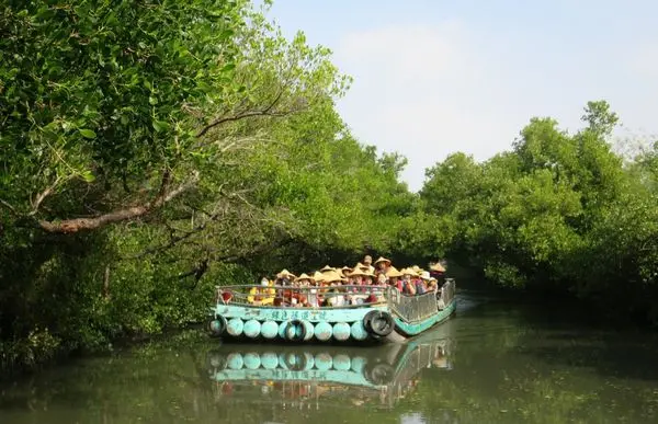 *台南景點*四草綠色隧道,搭乘竹筏遊「台灣版亞馬遜河」,絕美綠色水上隧道!