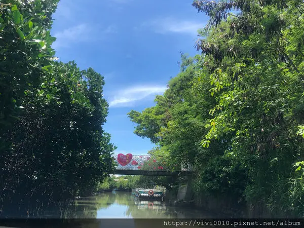 圓圓家出去玩-《台南景點》台版亞馬遜河,美麗的紅樹林綠色隧道,四草大眾廟搭乘小船賞景去