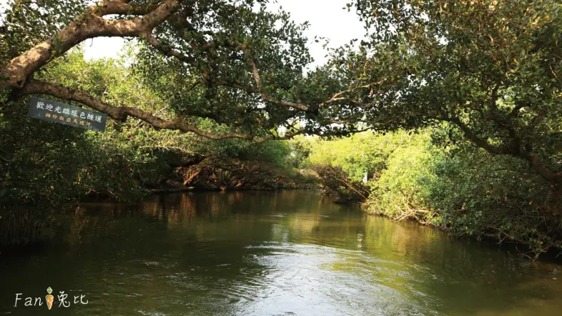 〔台南旅遊〕台江半日遊 part2 - 四草『台灣亞馬遜河』/獨一無二超美秘境/綠色隧道竹筏體驗