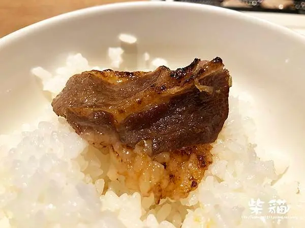 【新竹】防疫新型態~想吃就吃的一人燒肉派對:::柴貓IN【燒肉LIKE】