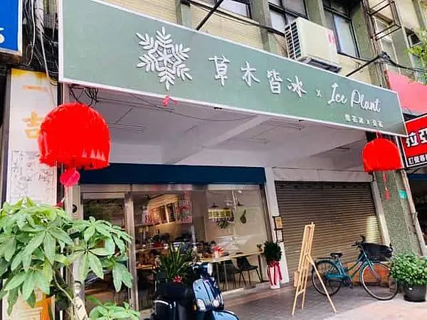 「新店區」草木皆冰ice plant-消暑一夏