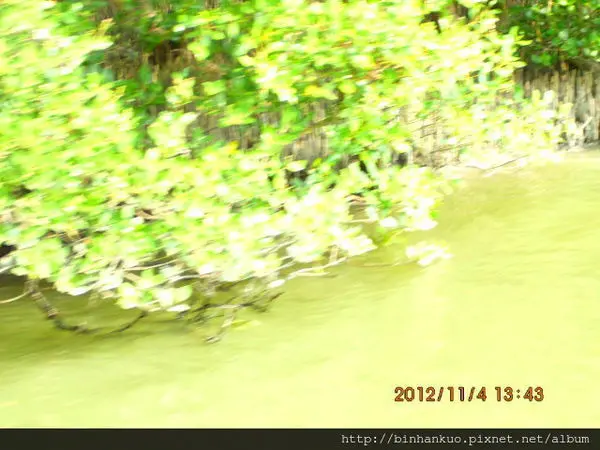 遊記---四草砲台, 大眾廟, 鄭成功登陸戰古戰場, 四草生態園區 and台江鯨豚館(四草地區)(4)