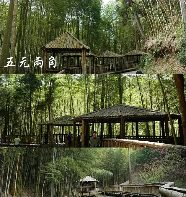 【雲林景點】走訪草嶺秘境(寵物友善景點)，五元兩角休憩綠廊擁有滿山幽雅的孟宗竹林，漫步兩旁蓊鬱翠綠竹林中，呼吸清新空氣，讓人心靈放鬆！。雲林旅遊 親子旅遊景點