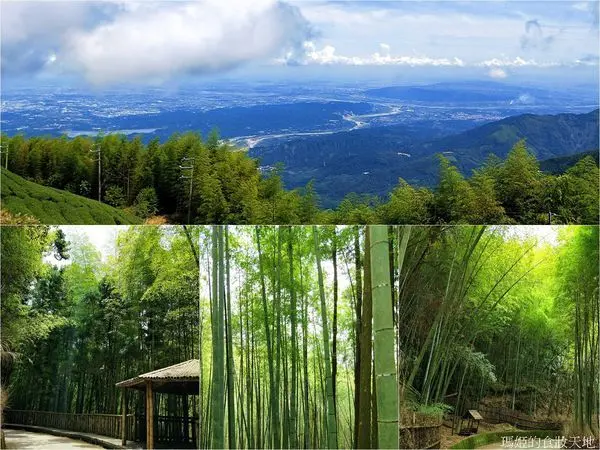 雲林景點 雲嶺之丘 X 五元二角 雲林一日遊推薦 免門票 吸收芬多精 釋放負能量