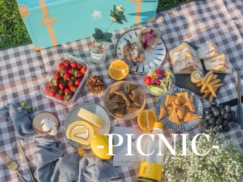 拎著一卡野餐箱就出發！來場輕鬆的浪漫野餐吧！_台中法雅