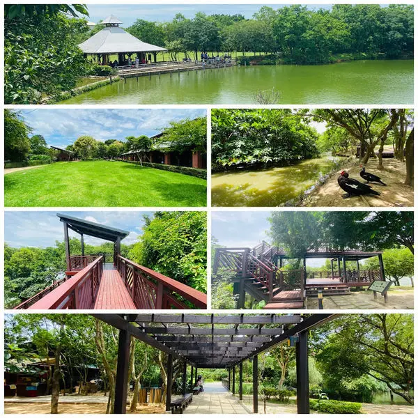桃園小雲山水|八德埤塘生態公園|桃園最大的埤塘公園|旺德福樂Wonderful Love朝午食所|桃園親子踏青好去處