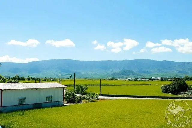 台東關山住宿【耘禾莊園民宿】坐落於花東縱谷，享受被田野包圍的舒適民宿，房間舒適又大間！共有五間房可以包棟！
