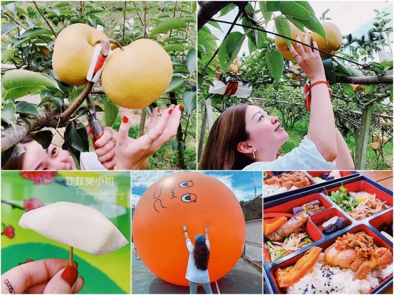 | 台中景點 | 東勢高接梨的故鄉一日遊 近距離體驗多汁水梨採果趣 心有林畦民宿景觀餐廳精緻農村料理 漫步梨之鄉文化巡禮