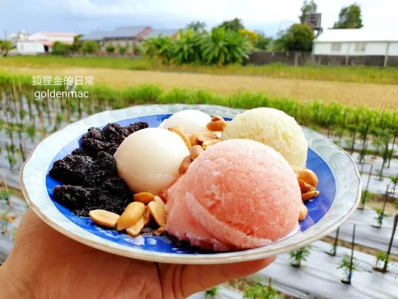 高雄美濃美食 │ 瀰濃冰城 美濃湖畔隱藏版田中央在地美食 季節限定自家耕種天然食材好味道