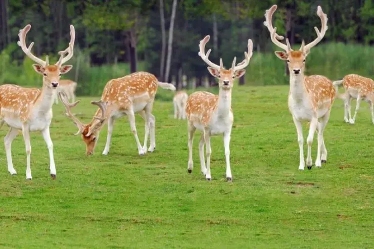 綠島旅行：親子出遊，玩綠島最好玩提案