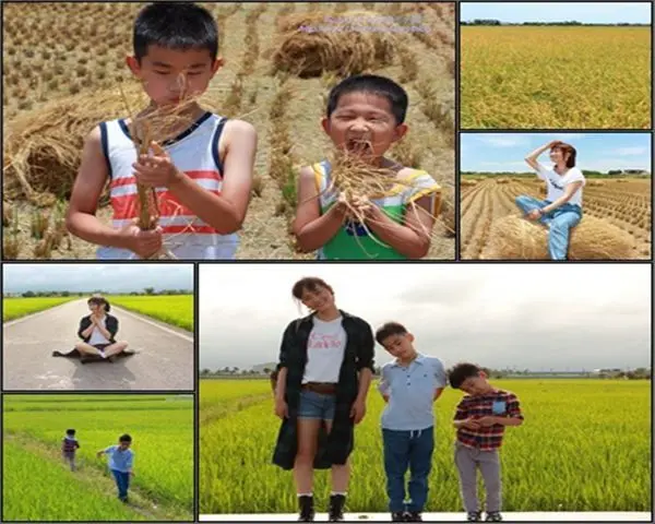 【宜蘭冬山旅遊】三奇美徑。季節限定的田園，三種變化都能帶來不同感受