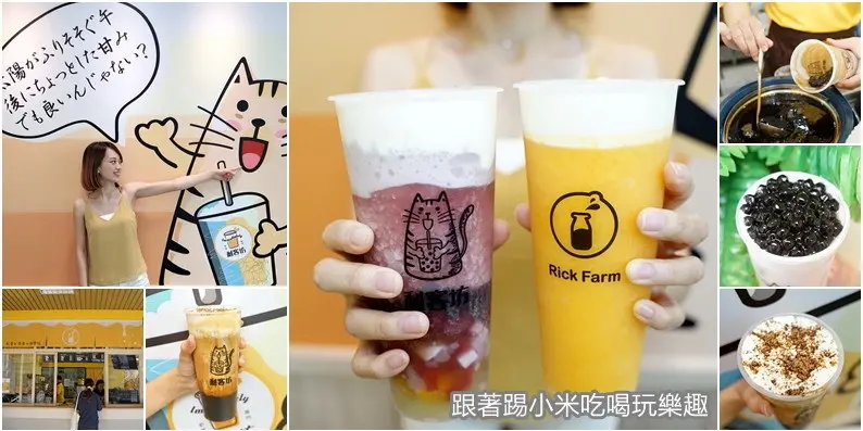 新竹利客坊|開幕慶飲料買一送一。從日本紅回台灣的喵星人芝士奶蓋專門店！