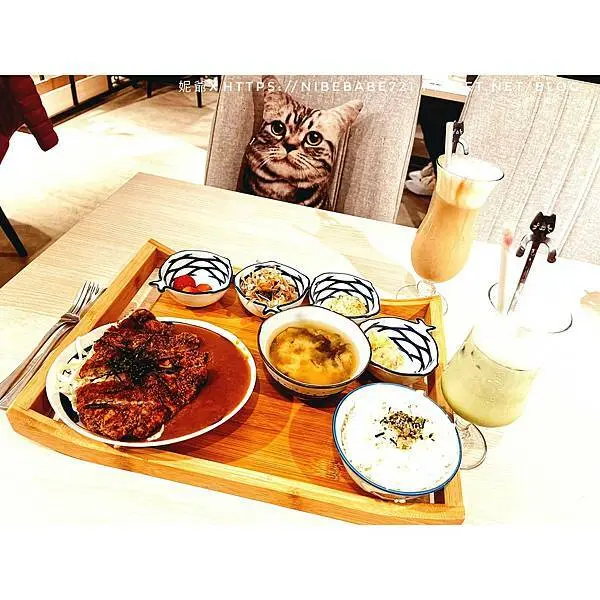 [桃園龍潭美食] 貓禾咖啡 乳姑山夜景 寵物友善咖啡廳 遠離城市喧囂  體驗一次被6隻貓咪環繞