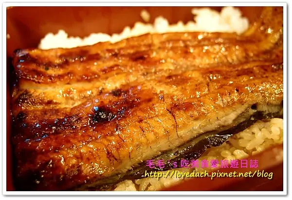 食記。【肥前屋】鰻魚蛋捲好美味,鰻魚飯卻令人大失所望