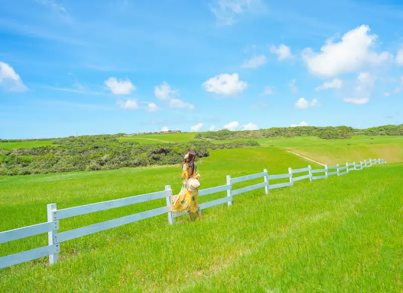 [墾丁景點]水蛙窟大草原-美如電腦桌布的綠草藍天景色!隱藏版墾丁打卡景點 @美食好芃友