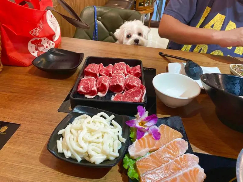 【台北信義區-大毛屋涮涮鍋】寵物無敵友善餐廳、狗狗能一起用餐好幸福。