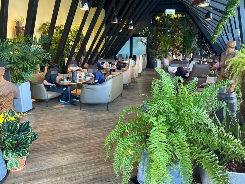 新北新莊-兜•咖啡(D’or cafe)  森林系咖啡廳、不限時、一個人的旅行