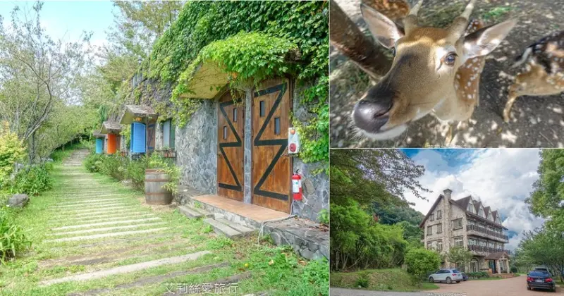 南投住宿》清境農場餵小鹿 繡球花童話般場景拍照 日初雲來渡假莊園 - 艾莉絲愛旅行