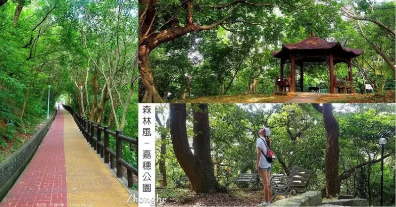 新北中和景點：森林感十足的嘉穗公園︱四十張山環山步道