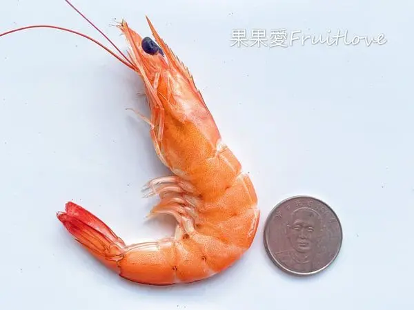 鮮甜好吃的鮮蝦～一盤100兩盤只要150元 　還有超大盤的蚵仔煎　～　清手工虱目魚丸　蚵仔寮漁港