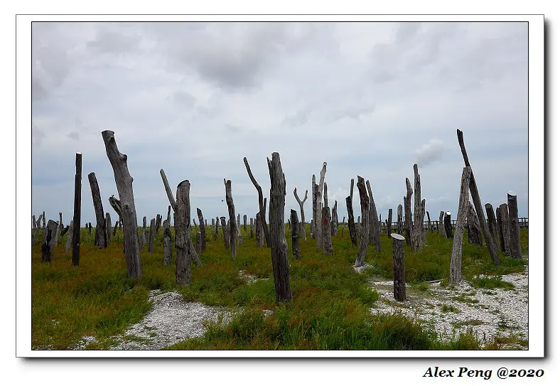 彰化縣-福寶濕地+埔鹽鄉-阿秀麵店