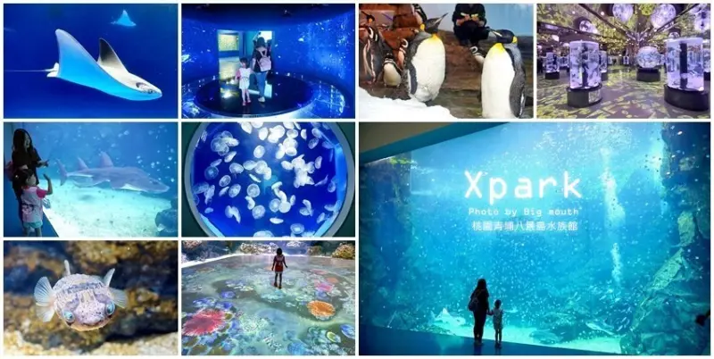 【桃園青埔】Xpark八景島水族館．必逛重點、門票、交通、停車資訊!