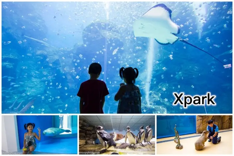 【桃園親子景點】Xpark水族館～現場購票、門票預購｜交通資訊，日本橫濱八景島水族館台來打造台灣首座新都會型水生公園、企鵝咖啡廳