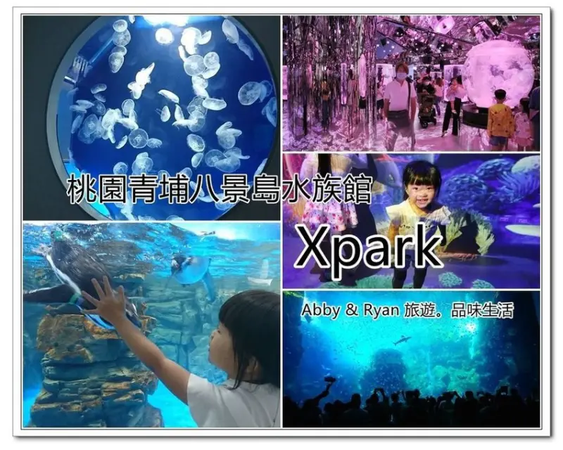 【桃園中壢景點】桃園青埔｜Xpark 都會型水生公園~日本八景島水族館。8/8衝去看心得分享！