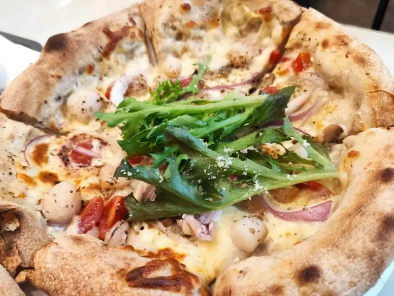 N.V PIZZA 黑火山披薩-桃園八德/手揉餅皮口味多樣.也有堡類及筆尖麵 - 潔絲蜜愛生活