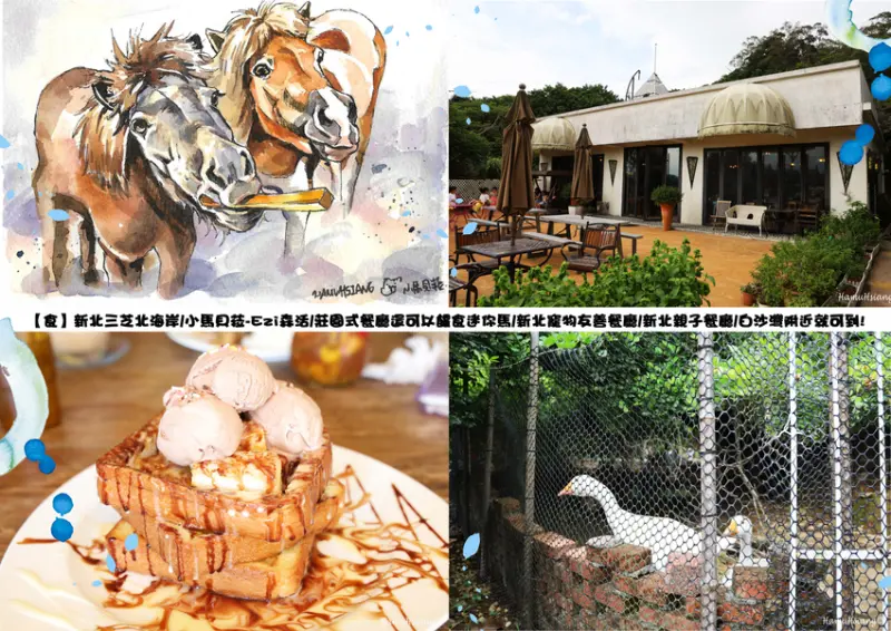 【食】新北三芝北海岸/小馬貝菈-Ezi森活/莊園式餐廳還可以餵食迷你馬/新北寵物友善餐廳/新北親子餐廳/白沙灣附近就可到!
