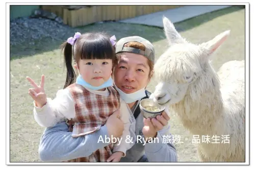 【宜蘭冬山景點】心花鹿Fun~餵食羊駝/梅花鹿真的好療癒哦！