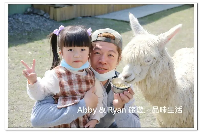 【宜蘭冬山景點】心花鹿Fun~餵食羊駝/梅花鹿真的好療癒哦！