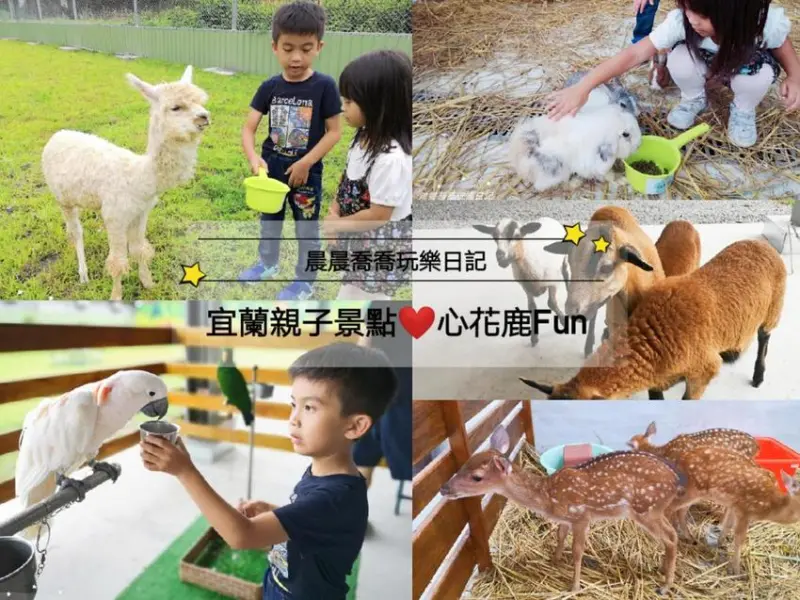 宜蘭最新互動農場【心花鹿FUN (宜鹿發)】超人氣療癒系「草泥馬」首度進駐宜蘭！還有駱馬、梅花鹿、巴貝多綿羊、天竺鼠、兔子、鸚鵡~等你一起玩唷！