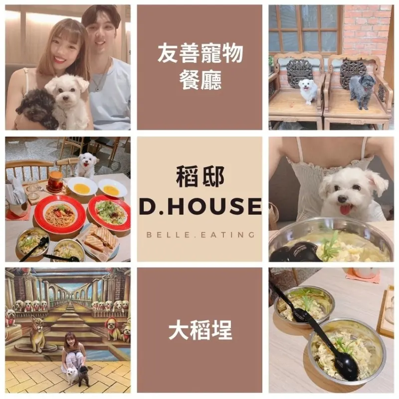 【台北寵物友善餐廳推薦】稻邸D.House寵物友善餐廳 和毛孩來一場復古的下午茶時光吧~ 迪化街美食推薦/台北場地租借推