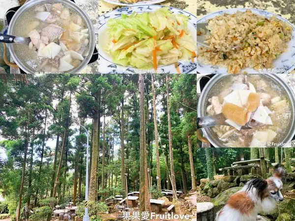 在竹林里用餐　涼爽又舒服　陽明山竹仔湖美食推薦　竹湖土雞城　親子寵物友善餐廳