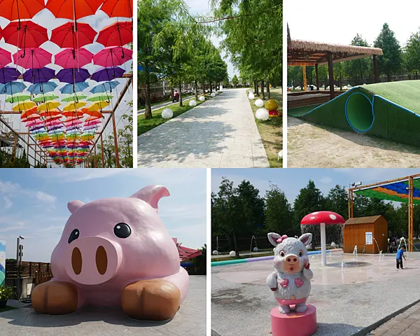 2020嘉義最夯親子同遊景點，玩水玩沙+大草皮+小動物+餵魚+diy/民雄三隻小豬觀光農場