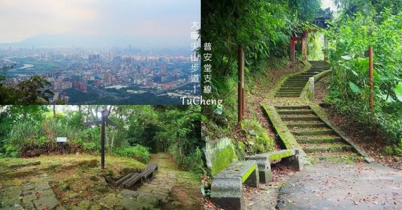 當步道佈滿青苔，過去已走入歷史︱土城大暖尖山－普安步道