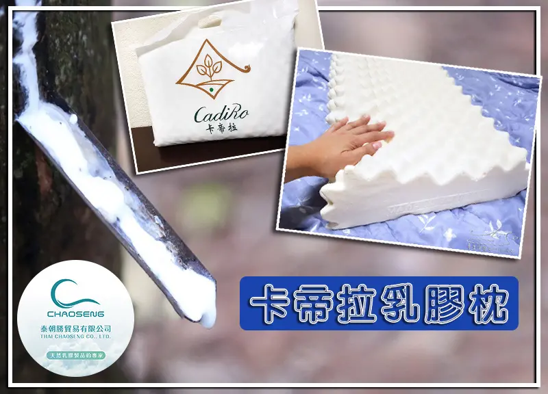 卡帝拉乳膠枕(泰朝勝貿易有限公司)