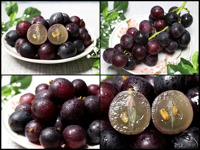 【苗栗美食/宅配水果箱】菓寶食 卓蘭巨峰葡萄～外銷輸日規格，果肉細緻Ｑ彈，飽滿多汁，季節限定，產地直送！