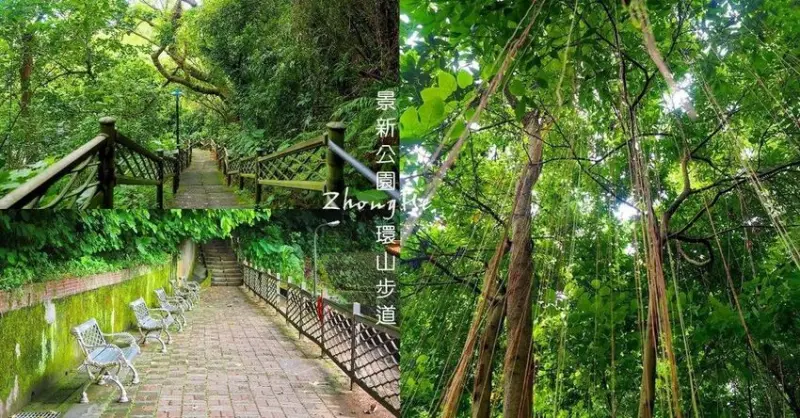 看樹在下雨︱中和景新公園環山步道