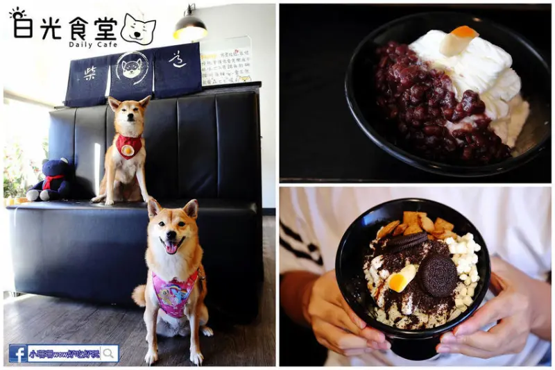 【食。桃園】日光食堂〜柴犬主題餐廳，好吃的雪花冰＋超萌的柴犬店狗，還有超親民日式定食只要百元！