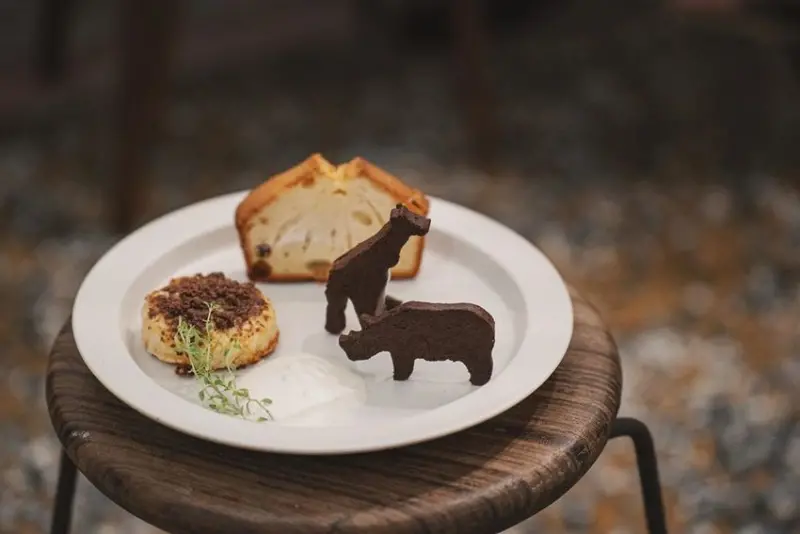 高雄，前金區｜明天的動物山。以肉桂捲香氣開啟味覺日常，座位僅五席的微光一角